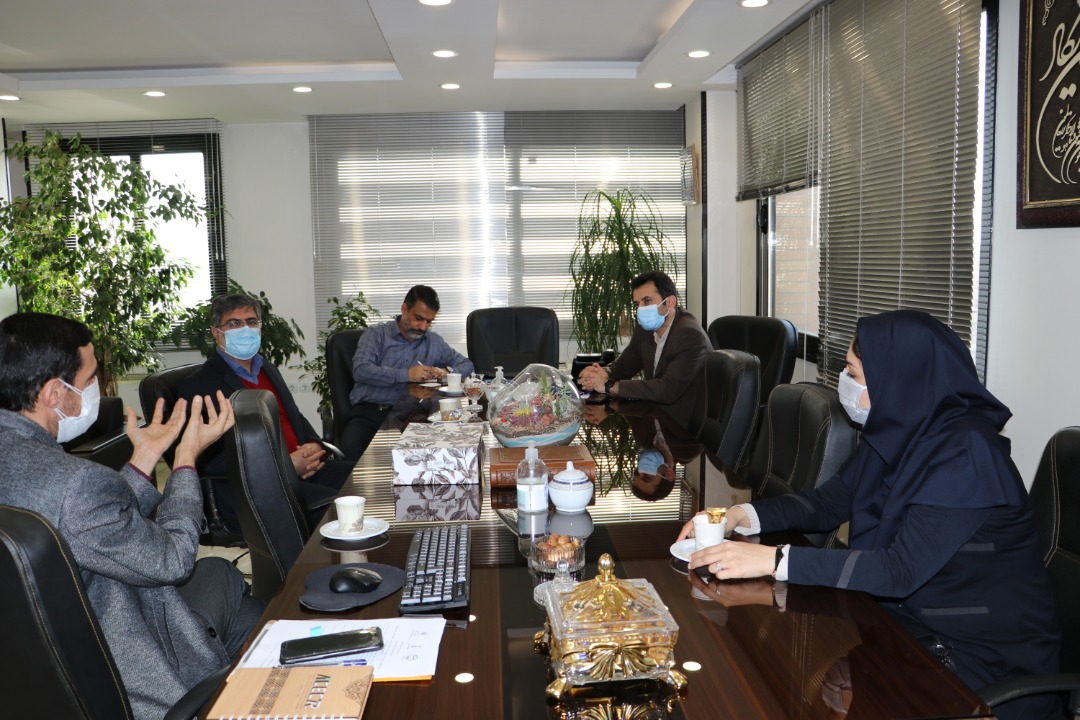 همفکری در خصوص ساماندهی و توسعه ی مشاغل خانگی